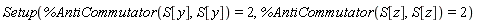 Setup(%AntiCommutator(S[y], S[y]) = 2, %AntiCommutator(S[z], S[z]) = 2)