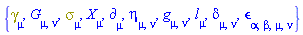 {Physics:-Dgamma[mu], G[mu, nu], Physics:-Psigma[mu], Physics:-d_[mu], eta[mu, nu], Physics:-g_[mu, nu], l[mu], Physics:-KroneckerDelta[mu, nu], Physics:-LeviCivita[alpha, beta, mu, nu], Physics:-SpaceTimeVector[mu](X)}