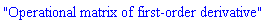 "Operational matrix of first-order derivative"