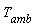 T__amb