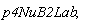 p4NuB2Lab