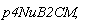 p4NuB2CM