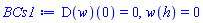 (D(w))(0) = 0, w(h) = 0