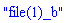 "file(1)_b"