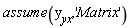 assume(y__yx, 'Matrix')