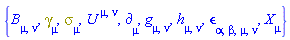 {B[mu, nu], Physics:-Dgamma[mu], Physics:-Psigma[mu], U[`~mu`, `~nu`], Physics:-d_[mu], Physics:-g_[mu, nu], h[mu, nu], Physics:-LeviCivita[alpha, beta, mu, nu], Physics:-SpaceTimeVector[mu](X)}