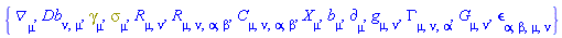 {Physics:-D_[mu], Db[nu, mu], Physics:-Dgamma[mu], Physics:-Psigma[mu], Physics:-Ricci[mu, nu], Physics:-Riemann[mu, nu, alpha, beta], Physics:-Weyl[mu, nu, alpha, beta], b[mu], Physics:-d_[mu], Physics:-g_[mu, nu], Physics:-Christoffel[mu, nu, alpha], Physics:-Einstein[mu, nu], Physics:-LeviCivita[alpha, beta, mu, nu], Physics:-SpaceTimeVector[mu](X)}