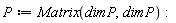P := Matrix(dimP, dimP)