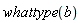 whattype(b)
