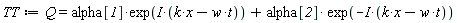 TT := Q = alpha[1]*exp(I*(k*x-t*w))+alpha[2]*exp(-I*(k*x-t*w))