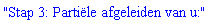 "Stap 3: PartiÃ«le afgeleiden van u:"