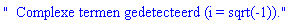 "  Complexe termen gedetecteerd (i = sqrt(-1))."